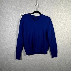 Express Sweater Men Large Blue Merino Wool V Neck Long Sleeve Lightweight Winter